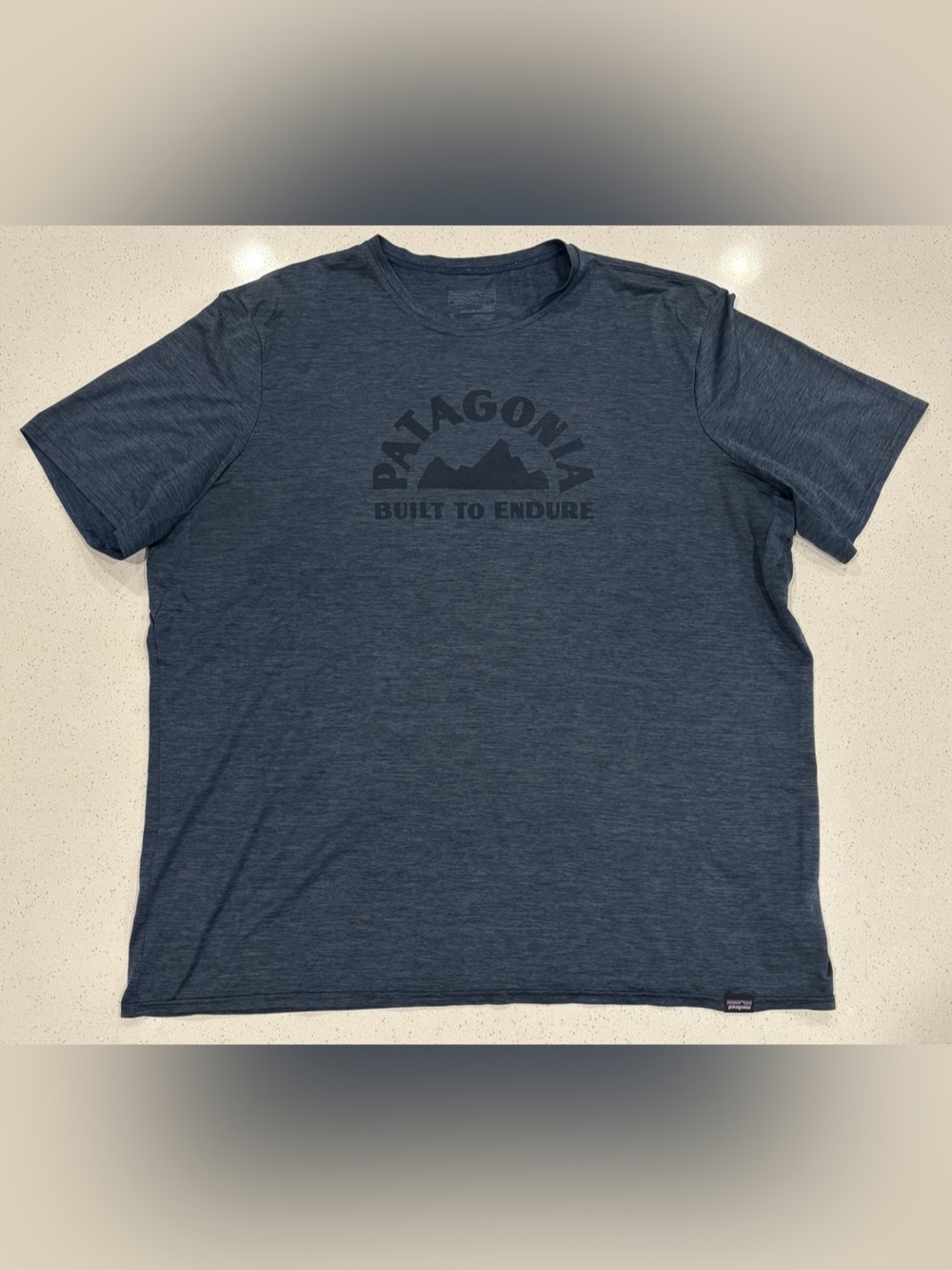 Patagonia Men’s Capilene Cool Daily Graphic T-Shirt
